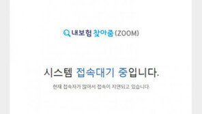 내보험 찾아줌, 24시간 넘게 접속 지연…“언제 찾아줌?” “내년에 봐야” 불만 폭주