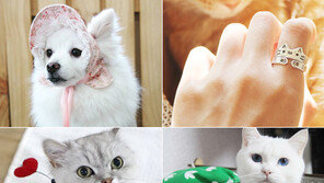 목줄 대신 날개…단 하나뿐인 펜던트…