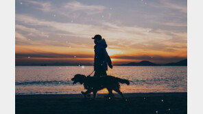 반려동물 동반 여행이 뜬다