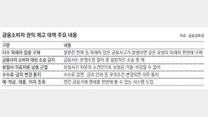 대형 금융사고때 금감원이 공시… 피해자 일괄 구제한다