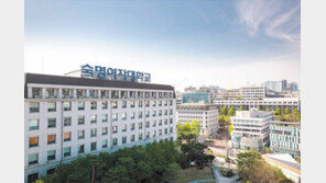 [2017 대학가는 길]전 계열 학생부 미반영… 수능 반영 영역따른 가산점 차이 없어