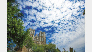 [2017 대학가는 길]영어-한국사-사회·과학탐구, 자체기준 적용