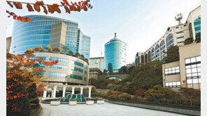 [2017 대학가는 길]가나다 군에 인기학과 골고루 분산…“케이팝-뷰티 수업 자랑”