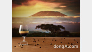 히말라야와 킬리만자로 커피, 세계적인 톱셰프들이 선택한 이유는?