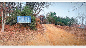 [화제의 분양현장]판교 토지… 3.3㎡ 당 138만 원 토지 분양