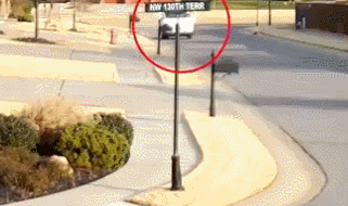 [영상]택배기사, 운전 중 반대쪽 문으로 추락…꼼수가 부른 참사?