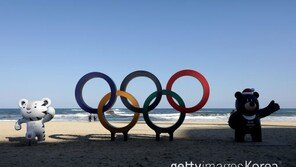 民心 평창올림픽 ‘직관’은 “글쎄….”