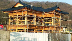 [2017 하반기 히트상품] 독창적 디자인으로 현대식 지붕 개량 혁신