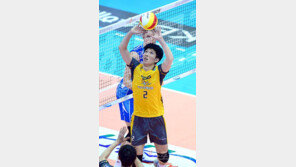 흔들리면서 피울 꽃, 황택의의 2년차 주전경쟁