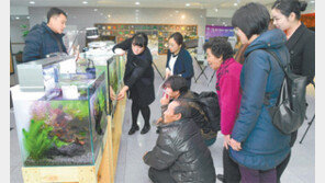 경북도청 토속 관상어 수족관