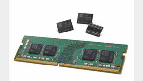 ‘난공불락’ 삼성 반도체… 10나노급 2세대 D램 세계 첫 양산