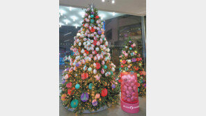 [사회공헌 Together/올리브영]개발도상국 소녀교육 위해 ‘나눔트리’ 모금활동 펼쳐 