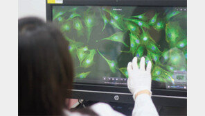 [2017 K-뷰티 이끈 우수기업/라비오]화장품 소재 기술로 세계 챔피언 꿈꾼다