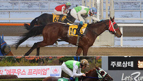 마방 자존심 걸렸다…간판 경주마 불꽃 레이스