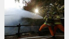 ‘건조주의보 발령’ 포항 장기면 산불…잔불 정리 중