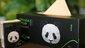 판다 ‘똥’으로 만든 휴지 출시 임박…일반 화장지와 다른 점은?