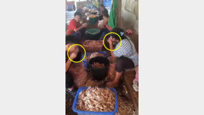 [영상]‘뼈 없는 닭발’ 이렇게 만드는거 였어?…입맛 ‘뚝’