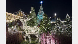 성탄 연휴와 연말, 리조트와 테마파크서 놀아볼까
