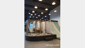 플레이타임그룹의 새로운 시도, 어린이 스포츠클럽 ‘챔피언1250’ 오픈