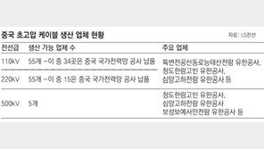 中시장 포화… 중동-동남아로 눈돌리는 전선업체