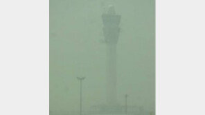 인천공항 짙은 안개로 대거 운항 지연…“크리스마스이브에 공항 감금” 승객들 분통