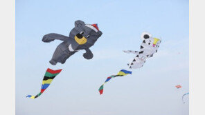 평창군, ‘동계올림픽 성공 연날리기 페스티벌’ 성황리 개최