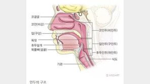 헤이즈 라이브 무대 망친 ‘비인두염’ 뭐길래?