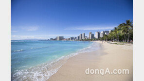  2018년 장거리여행 늘어날듯…혼행족은 로스앤젤레스, 가족은 하와이 