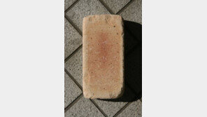 벽돌로 ‘ATM 8대’ 부순 20대 여성, 왜 그랬냐 물어보니…“기분 나빠서”