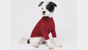 퍼플네스트, 기능성 도그웨어 ‘써드코트’ 출시