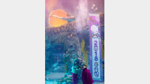 “무술년 해돋이 물속에서 감상을”