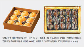 9만9000원 농수축산 세트 앞세워… 유통업계 설선물大戰