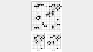 [바둑]알파고 vs 알파고 특선보… 제로의 반격