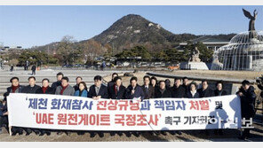 UAE 왕세제 최측근 내년초 방한 추진