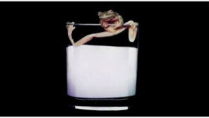 [대박! 이거 봤어?] 과거의 엉뚱하고 엽기적인 생활 꿀팁