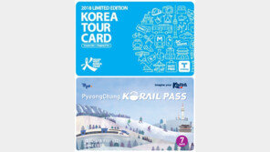 평창 패딩 이어 한정판 올림픽 교통카드·패스