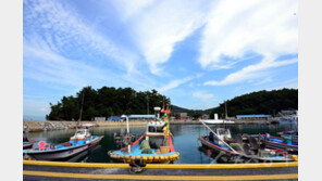 [고흥, 이야기가 있는 마을] 효심 깊은 아들 게와 학이 함께 옮긴 ‘작은 섬’
