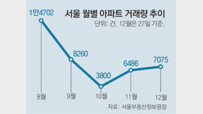 서울아파트 거래량 두달 연속 늘어… 왜?