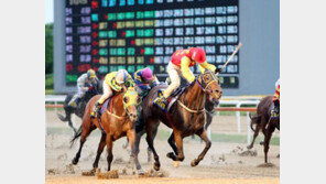 [콤팩트뉴스] 렛츠런파크 서울 1월 경마시행계획 발표 外