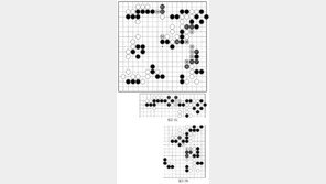 [바둑]알파고 vs 알파고 특선보… 잠깐의 굴욕은 참는다