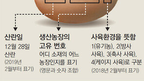 계란에 산란일자 표시 세계 첫 의무화
