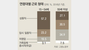 “정년 넘은 근로자 계속 고용하는 中企에 장려금”