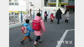 교육부 “어린이집 영어수업 금지, 확정된 바 없어…의견수렴 후 방향 결정”