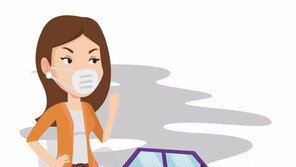 [미세먼지&에너지 전환]심혈관계 질환 유발, 사망률 높여 