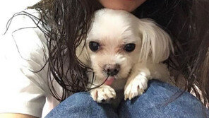  이주빈, 열애설 덕에 인지도 ‘쑥쑥’,…SNS엔 ‘개이쁨’ 사진 ‘철철’