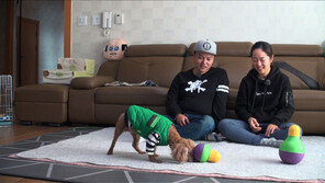 [오늘의 채널A] ‘민교 월드’에 입성한 생후 2개월 된 강아지들