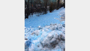 ‘푸른색’ 눈(雪)으로 뒤덮인 도시…낭만 아닌 근심 가득, 왜? 