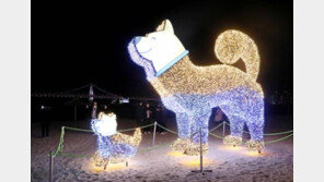 새해는 무술년…격동의 ‘58년 개띠’, 잘난 인물 이렇게 많아?