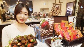 “달콤한 고디바 초콜릿 드세요”