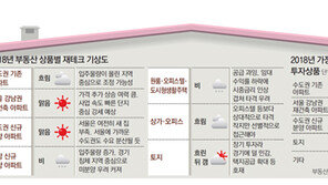 대출 규제-입주폭탄 먹구름 사이로… 강남 재건축 ‘햇살’
